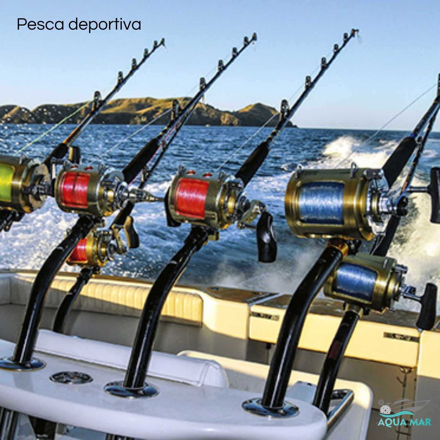 Imagen de la colección de productos de Pesca Deportiva de Aquamar de Ensenada